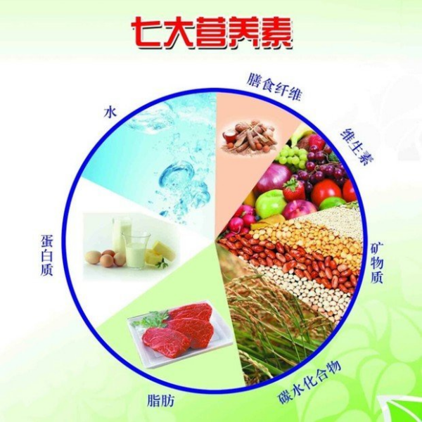 你对食物中的养分素了解些许？