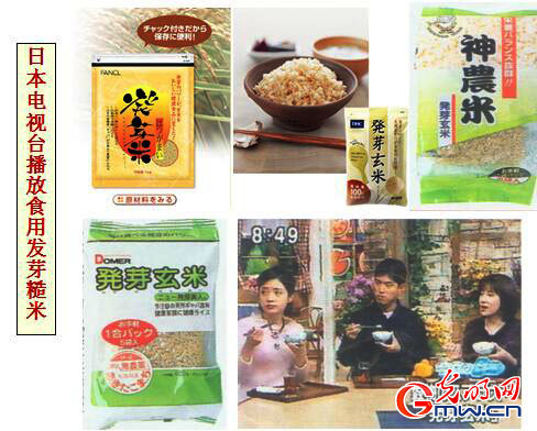 蔡云清教授解惑 发芽糙米和糙米的营养差别