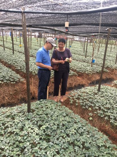 让老百姓用到道地药材——福建中医药大学附属第二人民医院寻药记