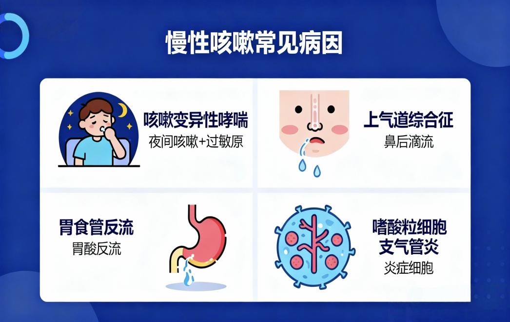 科普 | 一封“咳嗽”的自白书