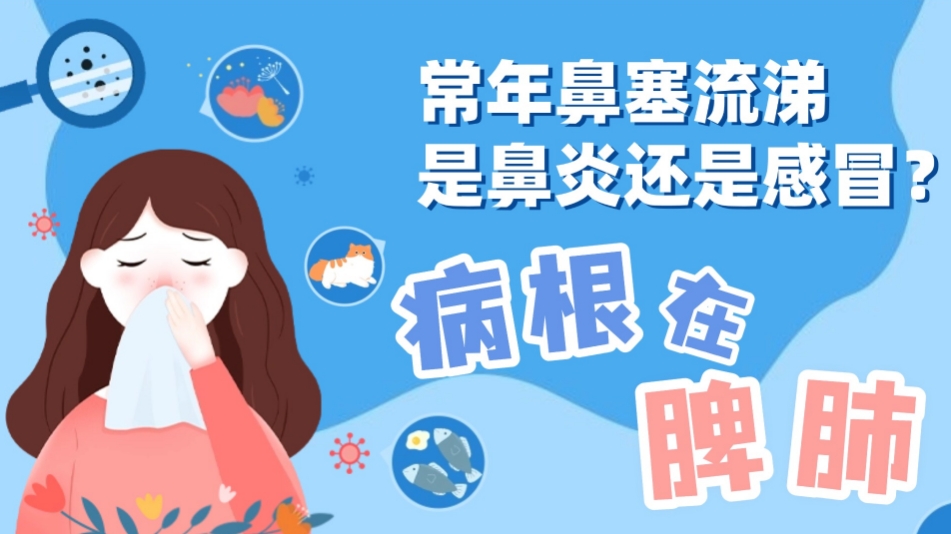 世界过敏性疾病日|常年鼻塞流涕是鼻炎还是感冒?病根在脾肺 世界过敏性疾病日|常年鼻塞流涕是鼻炎还是感冒?病根在脾肺