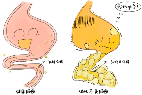 春节假期一不小心吃多了，肚子胀、不消化，健胃消食哪家强？